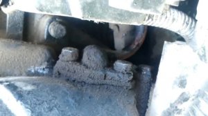 Масляный радиатор трактора Т 40/Tractor oil cooler T 40