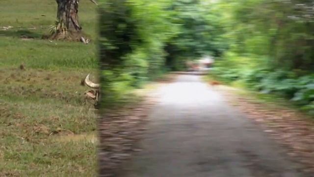 Наша поездка в провинцию Пханг Нга. Страшная авария на дороге. смотреть онлайн