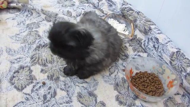 MVI 2467 смотреть онлайн