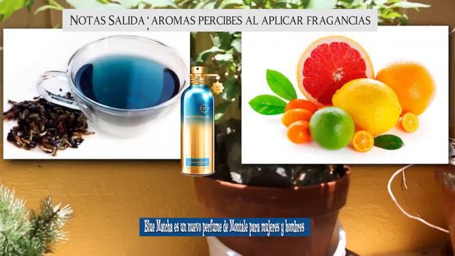 Perfumes 2021 Blue Matcha es un nuevo perfume de Montale para mujeres y hombres смотреть онлайн