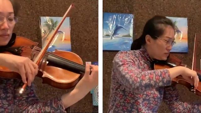 Shostakovich Duo for two Violin Prelude adapted for two Viola смотреть онлайн