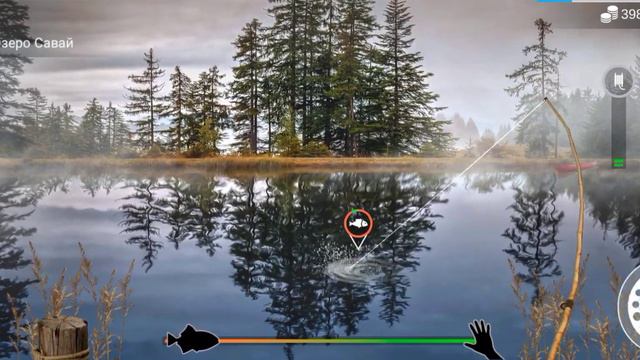 My Fishing Word- Карась обыкновенный.(Подробнее в описании) смотреть онлайн