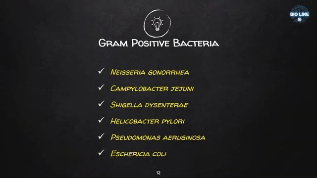 Different types of bacteria & its examples - I смотреть онлайн
