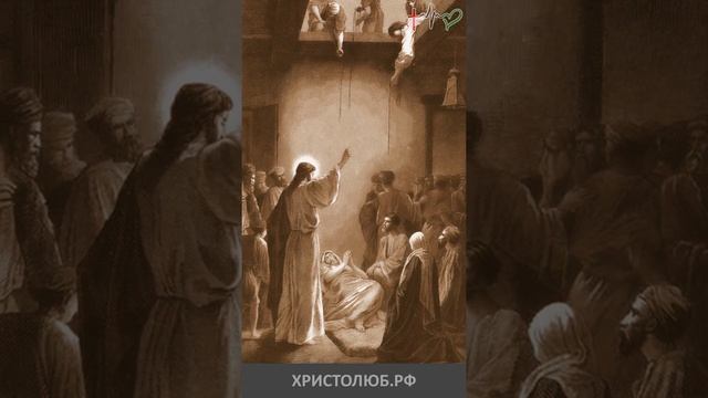 #ИИСУС #ХРИСТОС исцелят расслабленного #Евангелие #Библия #НовыйЗавет @ХРИСТОЛЮБ ✝️ @ВЕГАН ? #short