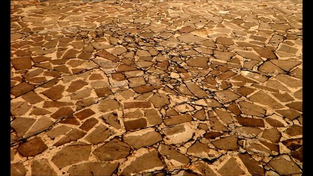 Как стать стойким. Стойкость как статус смотреть онлайн