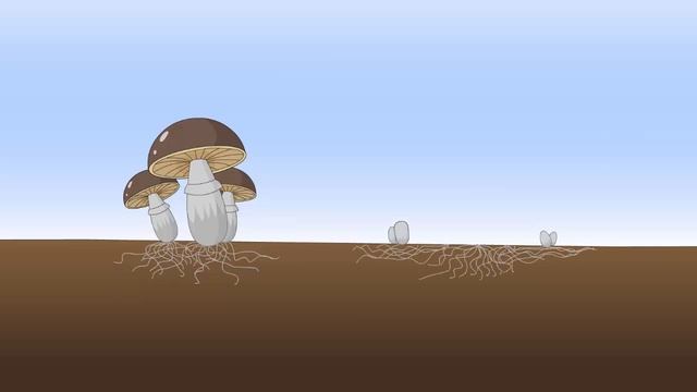 Размножение и развитие грибов смотреть онлайн