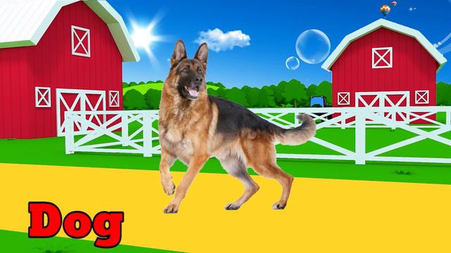 милые животные для детей смотреть онлайн