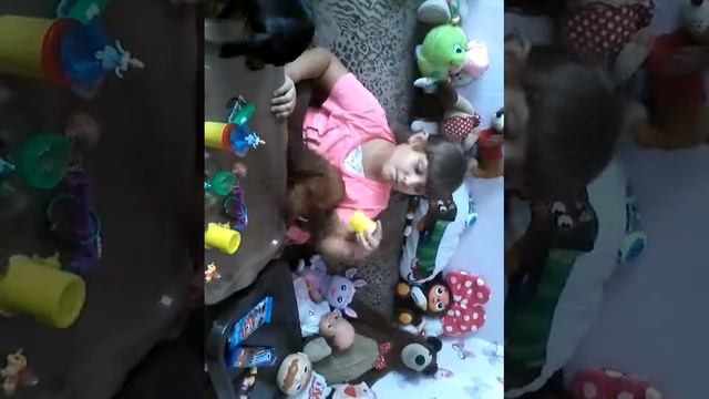 Съедобное-несъедобные с собаками таксами смотреть онлайн