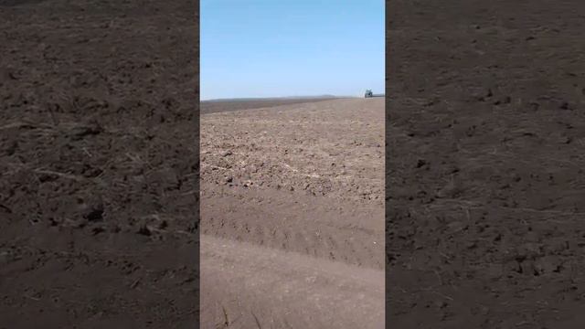 культивация посев ярового ячменя смотреть онлайн