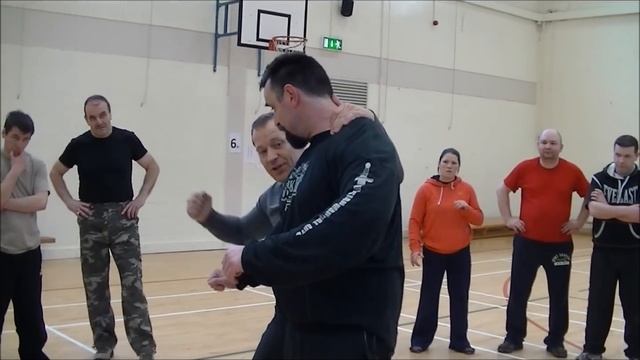 Martin Wheeler Systema - structure breaking using strikes. смотреть онлайн