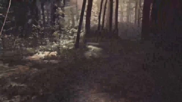 Don’t be out in the woods after dark! | Blair Witch Part 1 смотреть онлайн