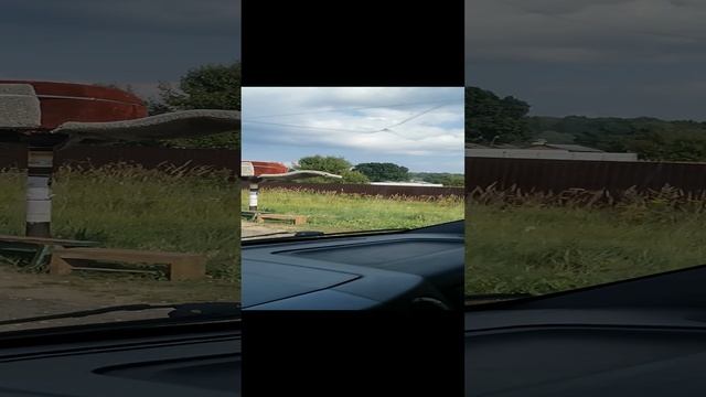 Кто-то потерял шапку) смотреть онлайн