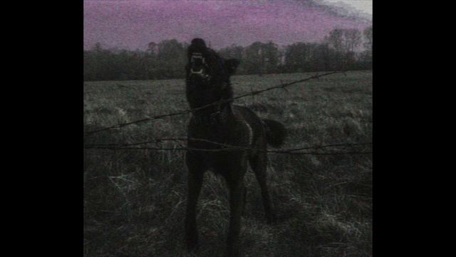 *FREE* Alice in Chains x Soundgarden Grunge Rock Type Instrumental - "Dominant" || + anticøn смотреть онлайн