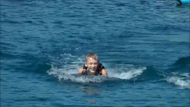 Животные, Animals more at www.akimhaven.net смотреть онлайн