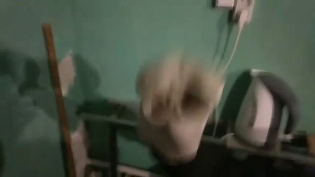 20.02.2018 ППВ говорящая рука))) смотреть онлайн