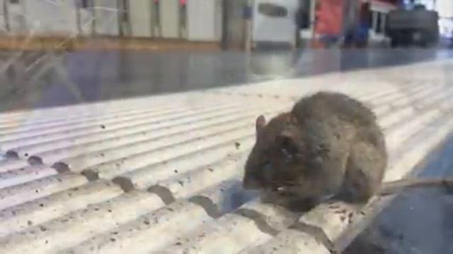 Парадоксы которые НИКТО не может решить