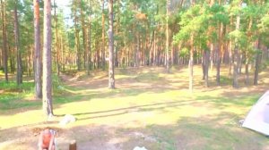 Озеро Днико. Псковская область