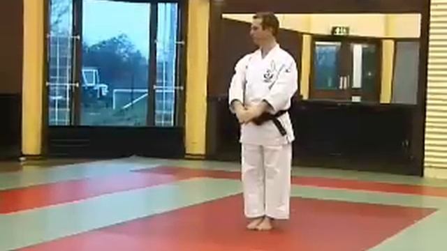Wado Ryu Karate Kata Naihanchi смотреть онлайн
