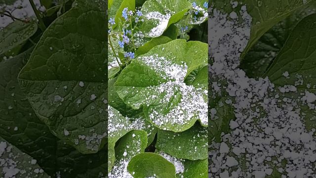 Аномальная погода в Мае смотреть онлайн