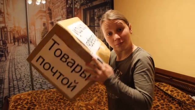 Реклама кошки № 1 смотреть онлайн