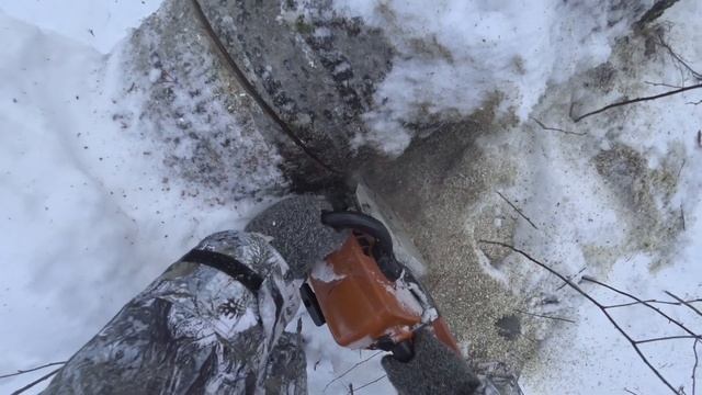 Заезд в тайгу 2023