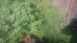 Тележка для триммера(испытания)