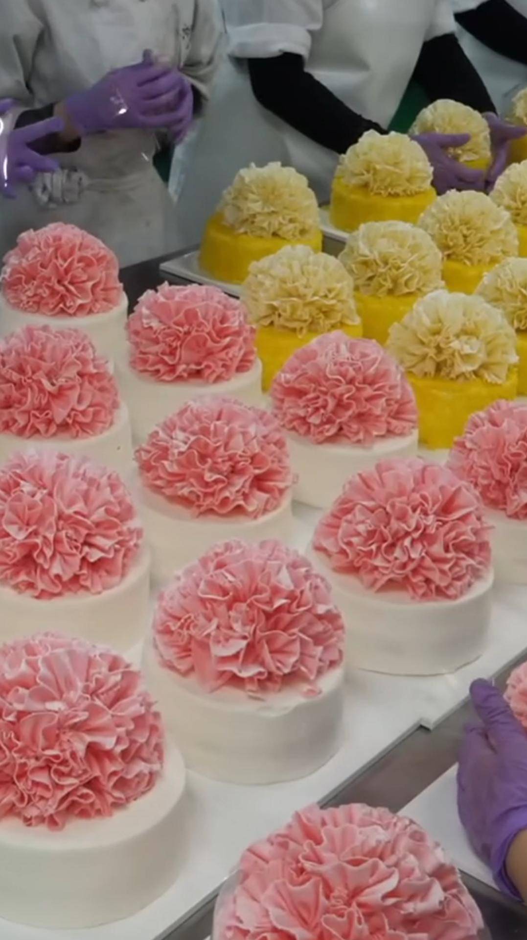 Торт с огромными шоколадными цветками #shorts #торт #цветок смотреть онлайн