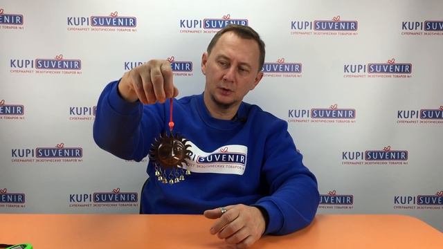 Видеообзор колокольчика «Мудрое Солнце» смотреть онлайн