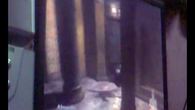 games nvidia 8600gt 512mb ddr2 смотреть онлайн