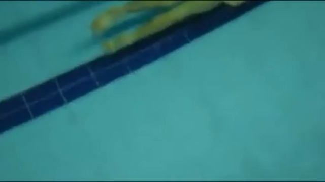 Super Young Freediver Davide Dameno Starts to Push Boundaries On One Breath Of Air. смотреть онлайн