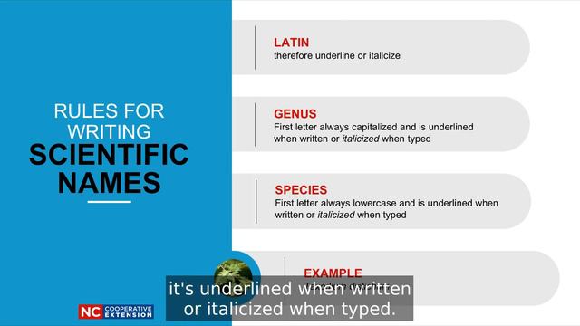 Plant Nomenclature смотреть онлайн