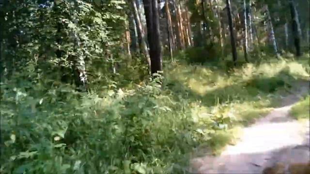 Покатушки по Сибирскому лесу и разговоры о природе смотреть онлайн