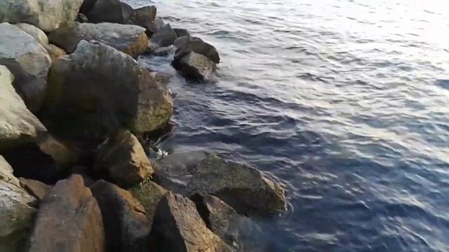 Сбор ракушек смотреть онлайн