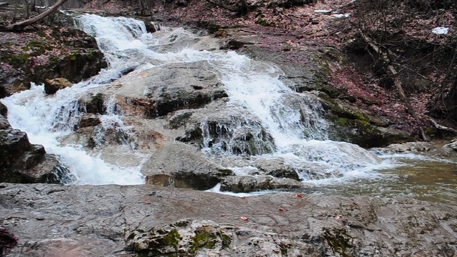 DSC_2485 смотреть онлайн