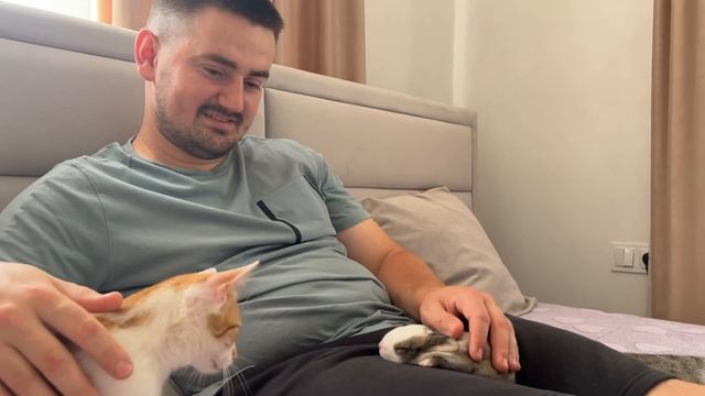 Funny Kittens React to Baby Bunny [Funniest Video] смотреть онлайн