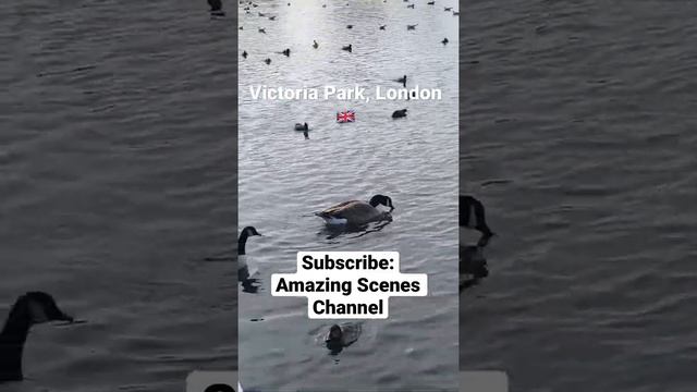 The Beauty Of Victoria Park, London ?? смотреть онлайн