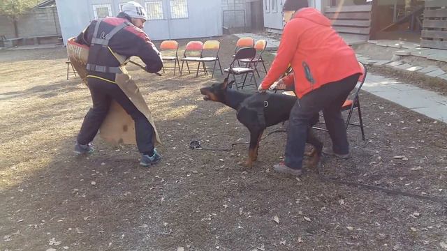 Бредли Бо Ванесса. Атака смотреть онлайн