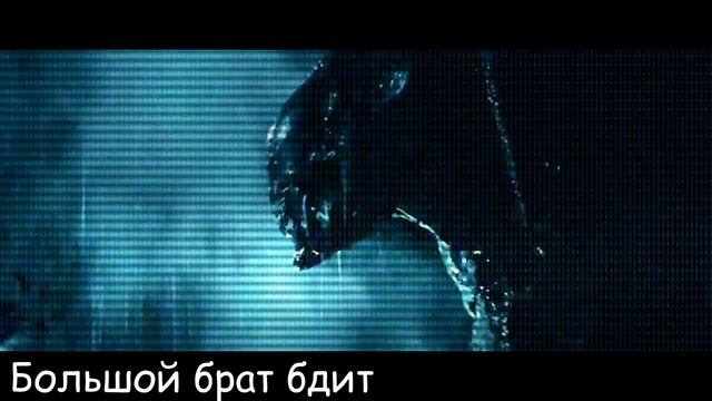 Чужой - Виды | Alien - Xenomorph