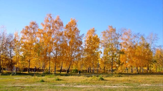 Золотая осень Нижний Новгород Автозавод Озеро земснаряд смотреть онлайн