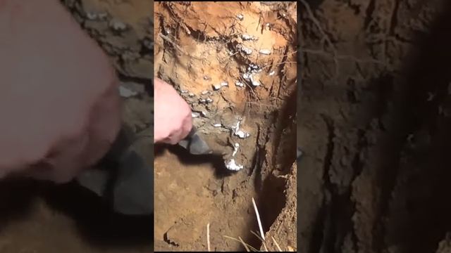 Casting a Fire Ant Colony with Molten Aluminum (Cast #043) #shorts смотреть онлайн
