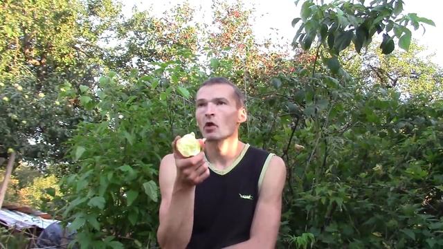 Осенние похождения коз смотреть онлайн