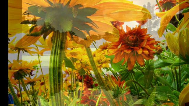 8 марта.wmv смотреть онлайн