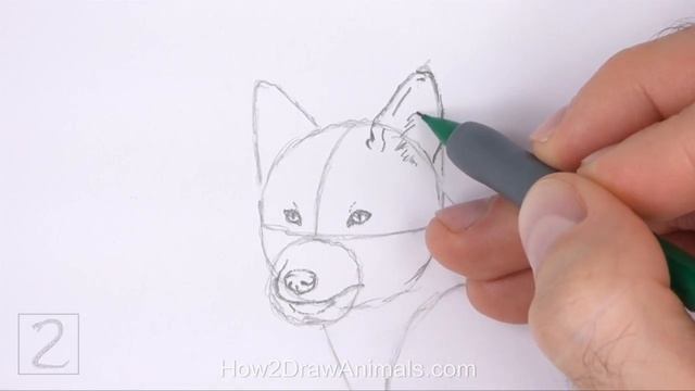 How to Draw a Fox (Red Fox) смотреть онлайн