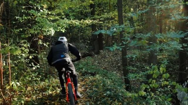 Ride in Forest