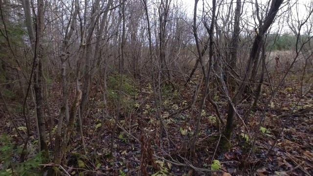 Коп у старого моста и урочища с МД 4030 смотреть онлайн