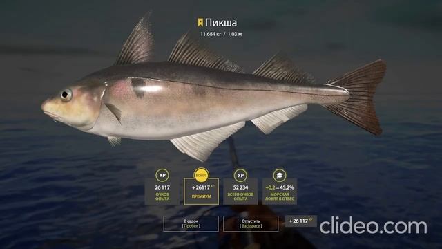 Норвежское море, русская рыбалка 4, улов + #трофеи рр4. На пути к ставкам. 34-41 банка смотреть онлайн