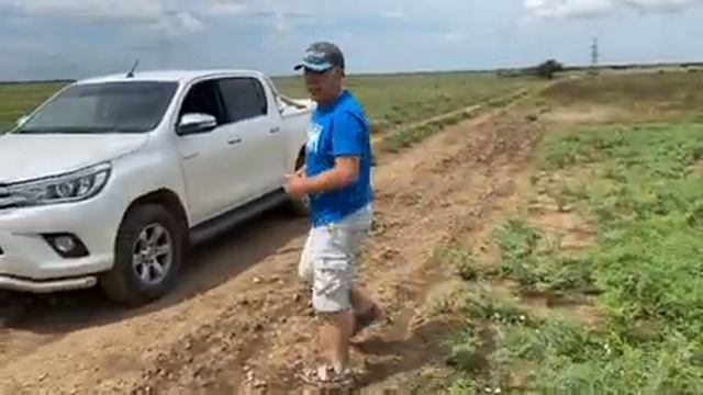 Осматриваем нут смотреть онлайн