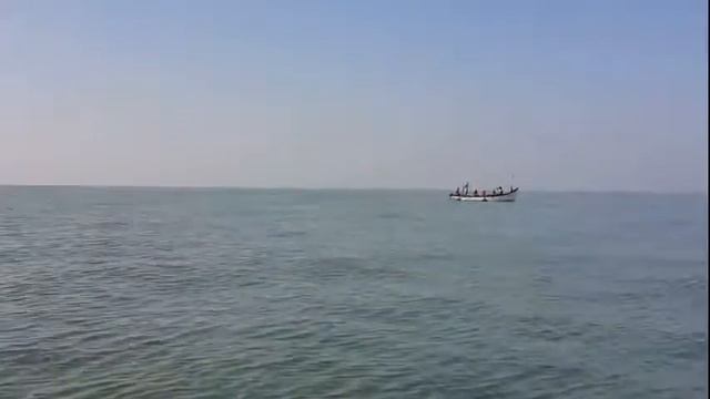 Летающие рыбы, дельфины, дикий пляж. Путешествие в Индию - 10 смотреть онлайн