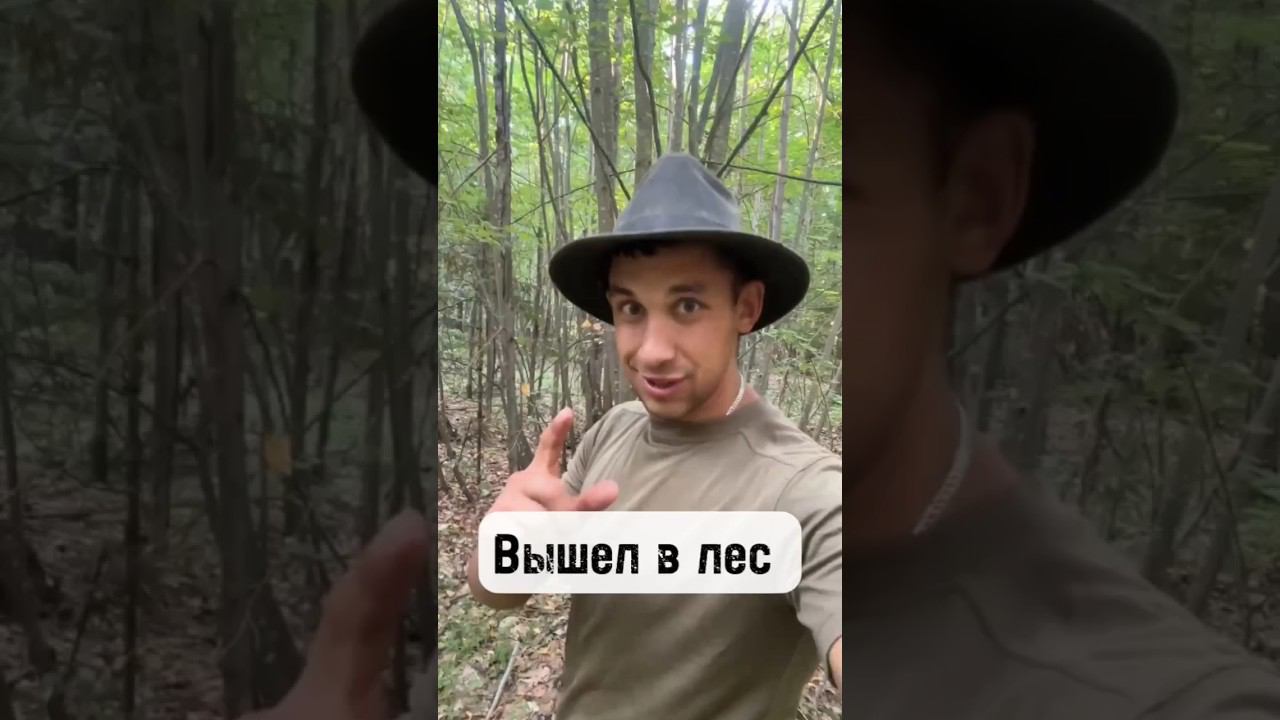 ПРОСТО ПОВЕЗЛО #грибы #лес #рек #рекомендации смотреть онлайн