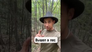 ПРОСТО ПОВЕЗЛО #грибы #лес #рек #рекомендации